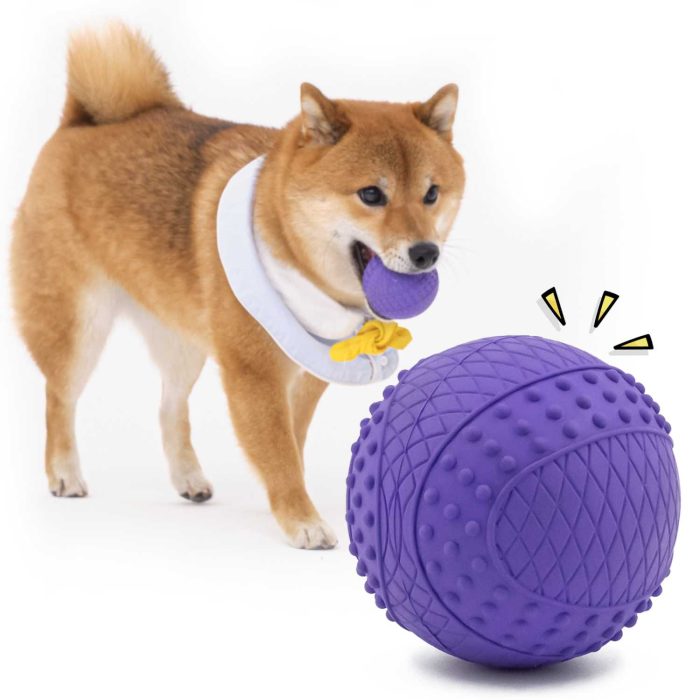 Tennis Ball for Dog, Rubber Floating Squeaky Balls, Interactive Fetching Toy for Small and Medium Pets, 2.5 Inch, Pack of 2